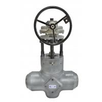 IsoTech Parallel Slide Gate Seat Protected Valve